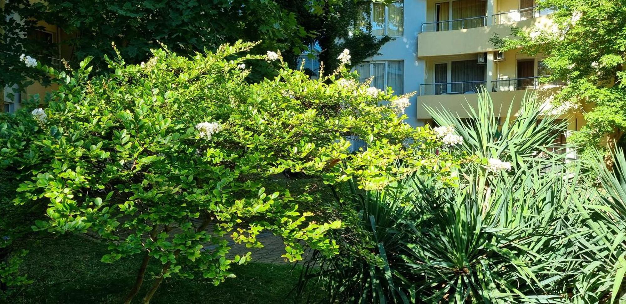 Apartment Yassen Vip *